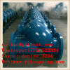 ductile iron y filter for water and oil medium temperature