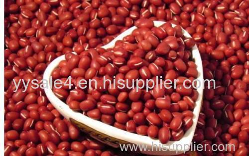 Good Quality Natural Red Bean Extract/ Semen Phaseoli Extract