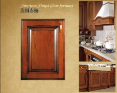 America Style Solid Wood Kitchen Cabinet (Br-SA01c)