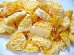 freeze dried orange slices