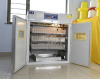 Xinchang 500 eggs incubator with factory price