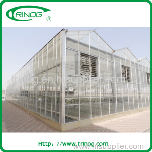 Agriculture glass greenhouse for production