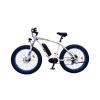 EB61 Electric Mountain Bike