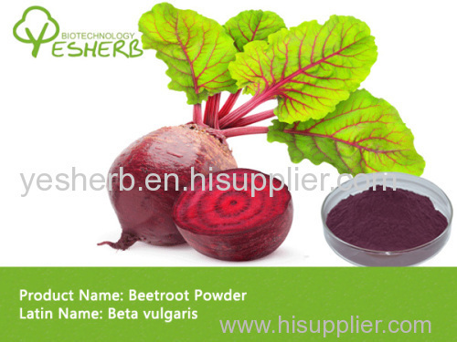 High quality Red Beetroot Powder