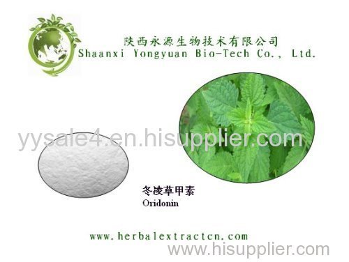 Best Quality Stock Natural anti-cancer product Oridonin 98-99%HPLC/ Rabdosia rubescens extract
