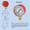 pressure gauge with color-sprayed