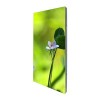 P7.81 Indoor LED Walls