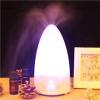 Electric Aromatherapy Essential Oil Diffuser