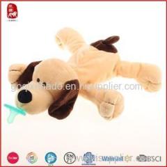 Brown Undressed Dog With Pacifier