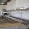 Living Poultry Hanging Manual Conveyor