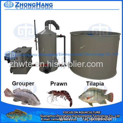 Aquaculture Equipment Tilapia Fish Farming