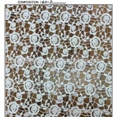 Polyester Embroidery Lace/lace Fabric/swiss Lace (S1560)