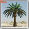 Outdoor artificial date palm tree