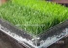 Waterproof Decorative Playground Synthetic Grass Fake Lawn SGF CE Certification