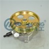 Elyseee8V Power Steering Pump