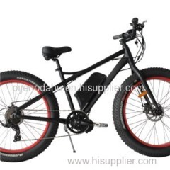 Fat Electric Bike With Mid Drive Motor JB-TDE00L