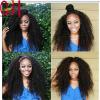 Curly Lace Front Wig