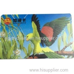 PVC Plastic Card Without Chip