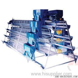 Layer Farming Equipment Product Product Product