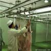 Sheep Carcass Processing Over-Head Manual Conveying Rail