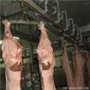 Pig Abattoir Tube Type Automatic Over Head Convey Rail