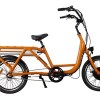 Hot Sell Electric Cargo Bike Delivery Bike JB-TDN03Z