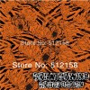 Water Transfer Printing Hydro Graphics Film-Transparent Black Crazy Tiger GWR002