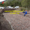 Five twist gabion stone cage_PVC coated wire gabion mesh_River 8*10 gabion wall