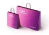 Durable Luxury Carry Paper Shopping Bags For Gift Hold Heavy Weight