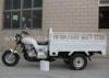 Gas / Petrol Motorized Cargo Trike 3 Wheeler Motorcycle 160mm Ground Clearance