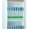 1 Door Direct Cooling Plastic Liner Upright Showcase