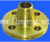 DIN2576 C45 WN Flange