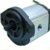 Caproni Hydraulic Gear Pump 20A(C)...X085