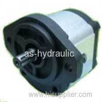 Selling All Models of Caproni Hydraulic Gear Pumps 20 Group
