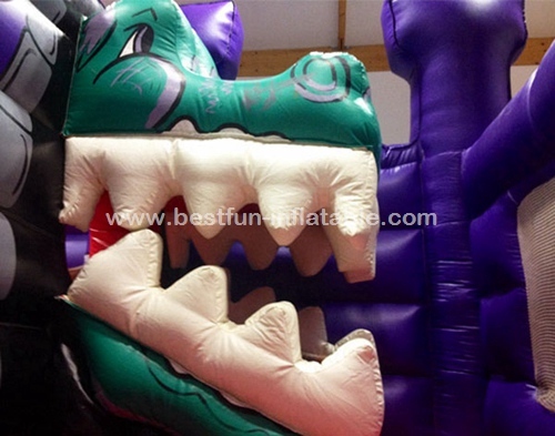 Dragons den jumping castle slide combo