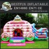 Princess carriage Inflatable Jumping Bouncer