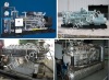 Natural gas generator set