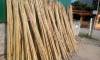 BAMBOO POLES FROM VIETNAM WITH CHEAPEST PRICE Ms Hannah 0084974258938