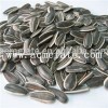 Sunflower Seeds Product Product Product