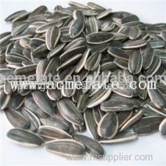 Sunflower Seeds Product Product Product