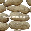 Peanut In Shell Product Product Product