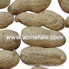 Peanut In Shell Product Product Product