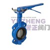 Butterfly Valve With Gear Handle