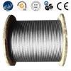 Stainless Steel Wire Rope