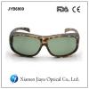 Polarized Side Shield Sunglasses