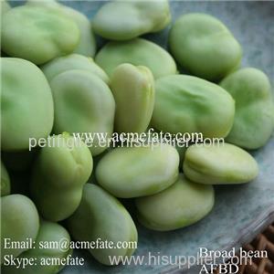 Frozen Broad Beans Product Product Product