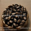 Watermelon Seeds Product Product Product