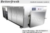 Dongguan Betterfresh Refrigeration rapid pre-cooling to extend shelf vacuum cooling pre coolers for food braised pork