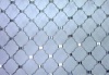 galvanized chicken mesh welded wire mesh