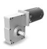 MCP2 Worm Wheel Electric Gear Motor For 90mm 100mm 110mm Brushed DC Motor 25:1 30:1 60:1 75:1 Gear R